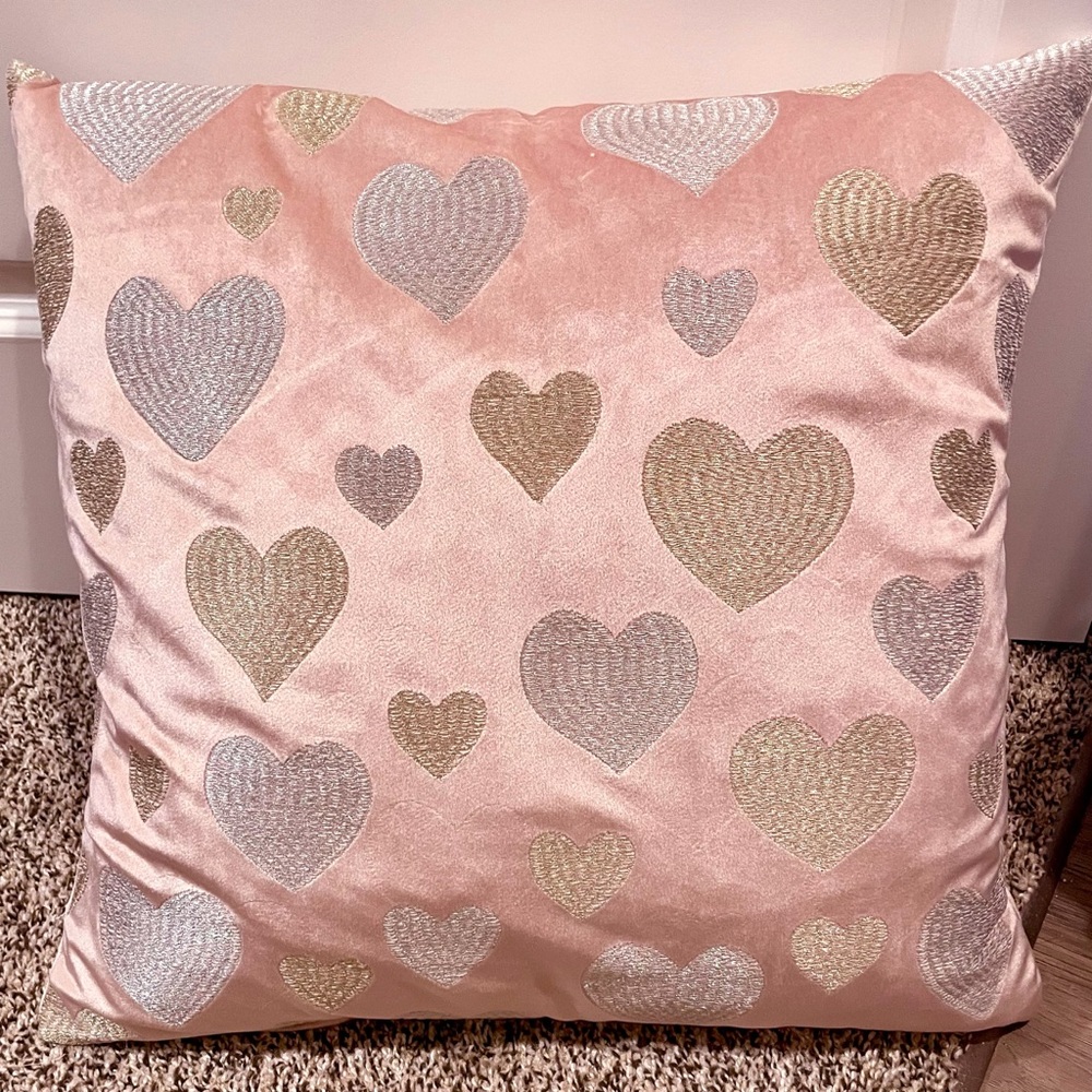 Large Light Pink Velvet Throw Pillow with Embroidered Silver & Gold Hearts